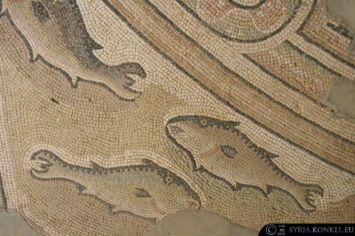 Mozaiki, Apamea