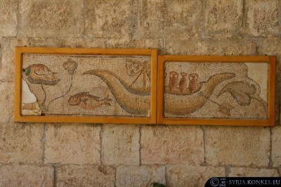 Muzeum Mozaiki, Apamea