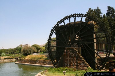 Nuria, Hama